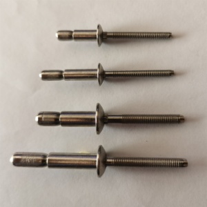Stainless Steel Interlock Rivet