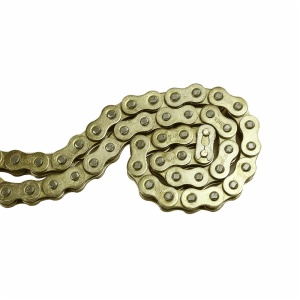 Motorcycle chain