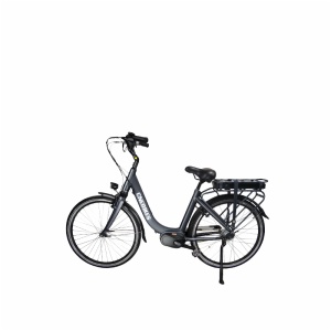 CITY E-BIKE CM-700A