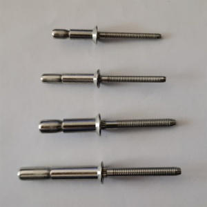 Stainless Steel CSK Interlock Rivet