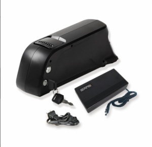 DOLPHIN TYPE BATTERY