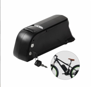 DOLPHIN TYPE BATTERY