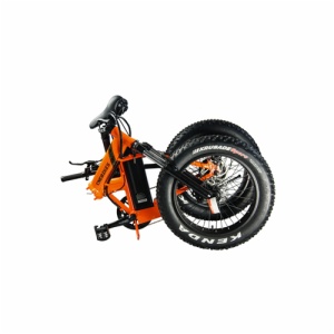 FAT TIRE ELECTRIC BIKE SR-20B 4.0