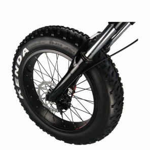 FAT TIRE ELECTRIC BIKE SR-20B 4.0