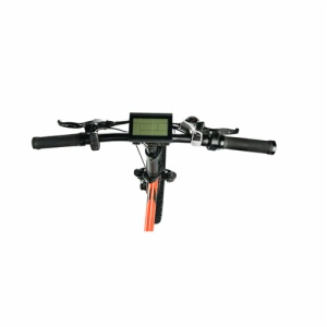 FAT TIRE ELECTRIC BIKE SR-20B 4.0