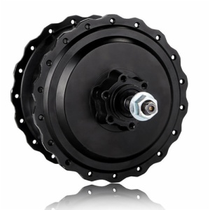 FAT TYRE HUB MOTOR H06 geared motor