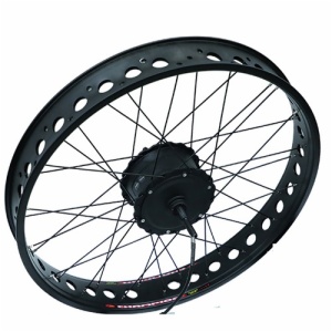 FAT TYRE HUB MOTOR H06 geared motor