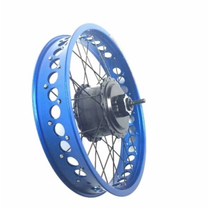 FAT TYRE HUB MOTOR H06 geared motor