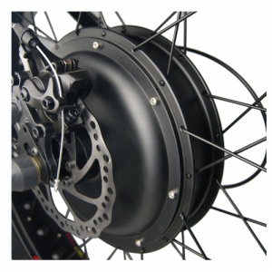 Gearless Hub Motor Kit