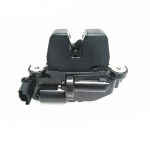 Back Door Lock