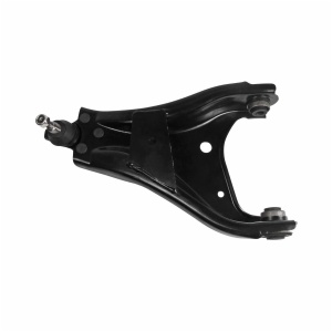 Suspension Front Lower Control Arm