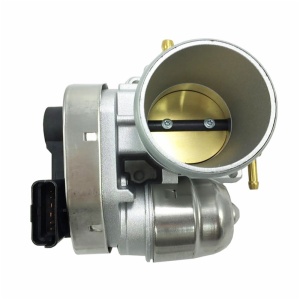 Throttle Body Assembly