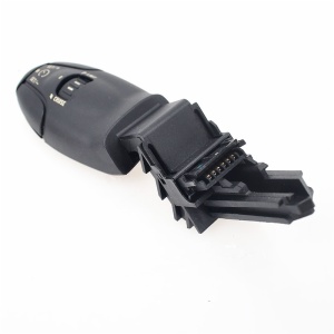 Cruise Control Switch