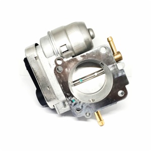 Throttle Body Assembly