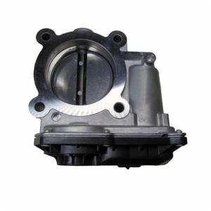 Throttle Body Assembly or Renault