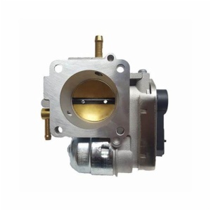 Throttle Body Assembly