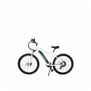 MOUNTAI E-BIKE MR-275B