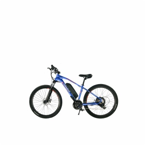 MOUNTAIN E-BIKE MR-275C