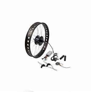 REAR MOTOR KIT BAFANG G06