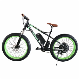 SNOW E-BIKE FR-26A