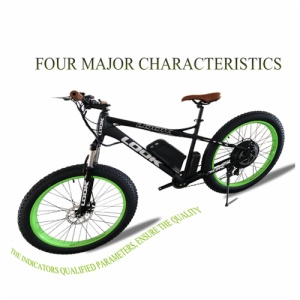 SNOW E-BIKE FR-26A