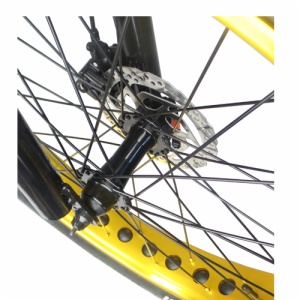 SNOW E-BIKE FR-26A