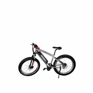 SNOW E-BIKE FR-26B