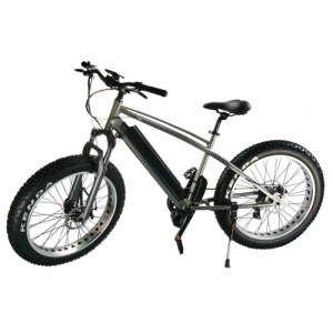 SNOW E-BIKE FR-26B