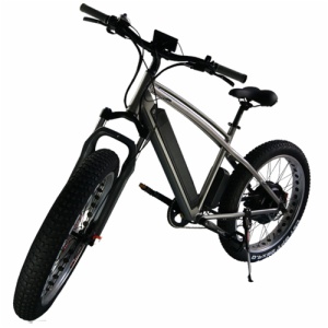 SNOW E-BIKE FR-26B