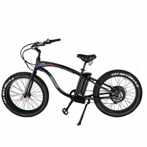 SNOW E-BIKE FR-26C