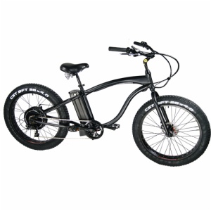 SNOW E-BIKE FR-26C