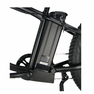 SNOW E-BIKE FR-26C