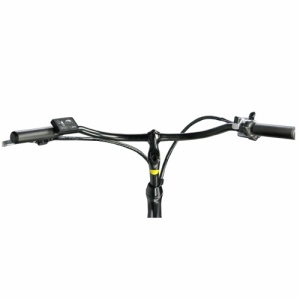 SNOW E-BIKE FR-26C
